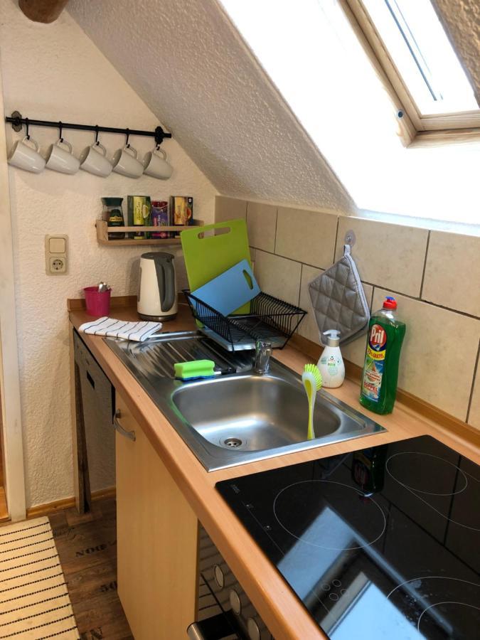 Willa Saidenbachhaus Grosshartmannsdorf Zewnętrze zdjęcie